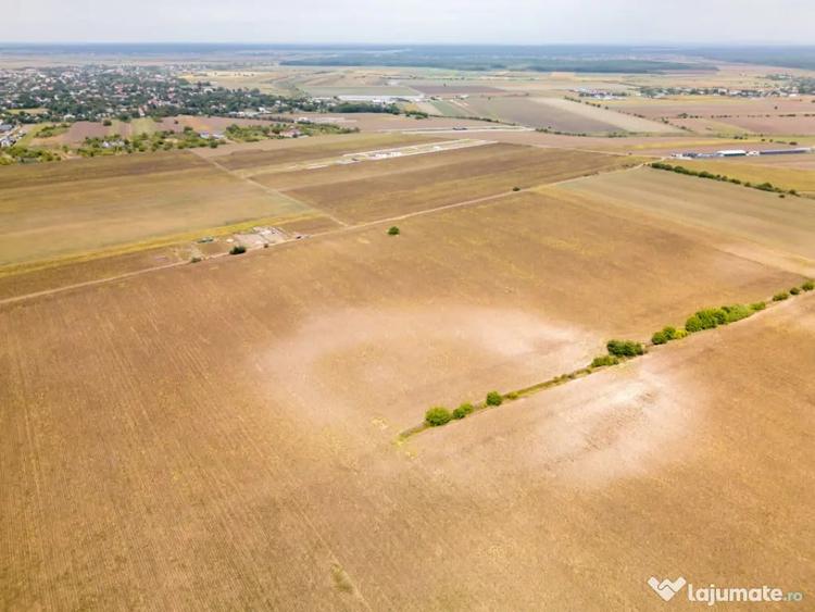 DASCALU TEREN INTRAVILAN 11300 MP, INVESTITIE! - Dascalu (Bucuresti-Ilfov) - 17
