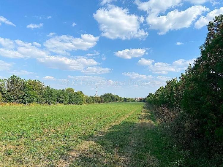 Teren agricol extravilan de 19996 mp, în Snagov