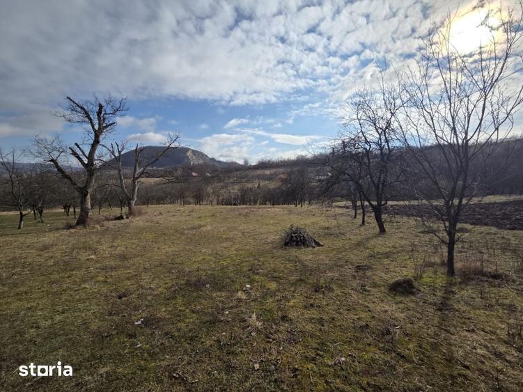 Teren de 3800 mp, în Mirșid