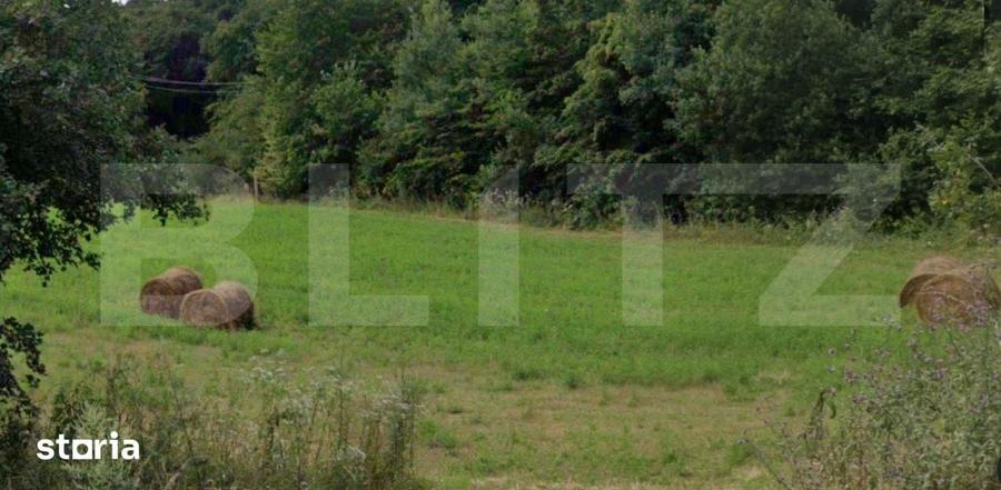Oportunitate! Teren intravilan autorizabil 1100 mp, front 25 m, Baciu- - 1