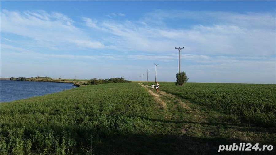 Teren agricol zona Gradinari langa balta Hobaia - Accept Schimburi - 7