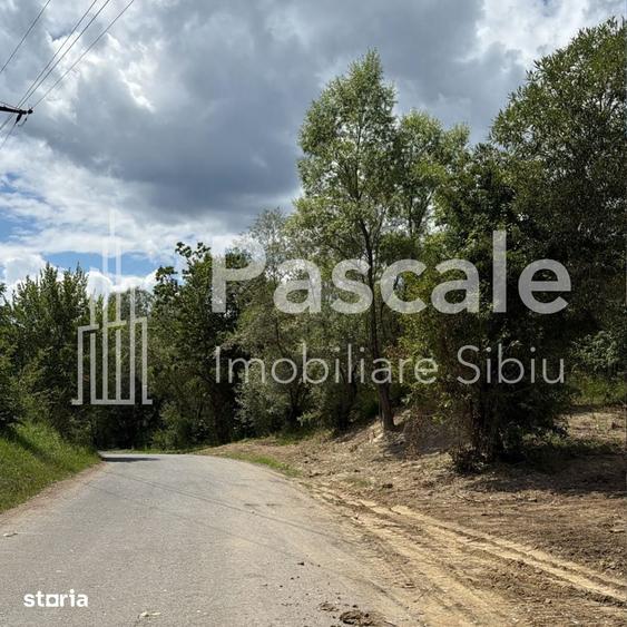 TEREN DE VANZARE IN BRADU,POSIBILITATE DE ACHIZI?IE ?I A 1/2 DE TEREN! - 5