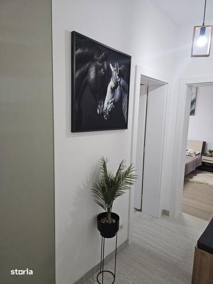 Apartament cu 2 camere decomandat în Lunei