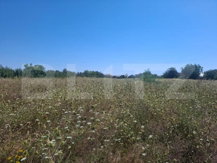 Teren de 3000 mp, în Dumbrava
