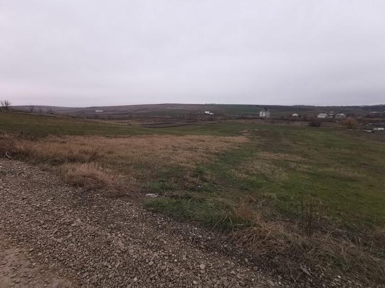 Teren agricol intravilan în Periferie