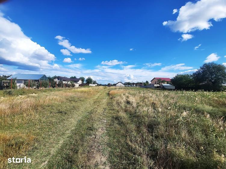 Teren de 8380 mp, în Vădeni