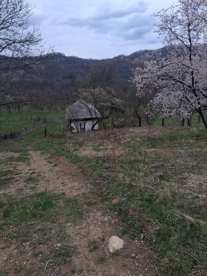 Casă cu Teren 4000 Mp în Năruja