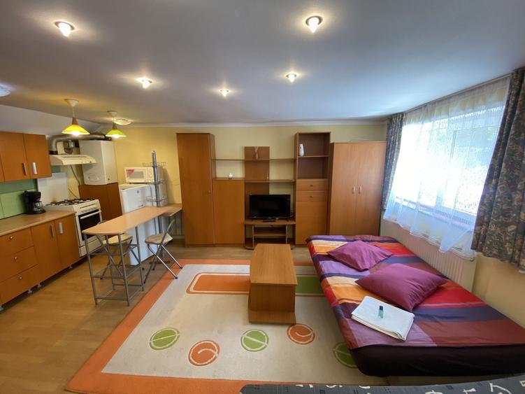 Apartament cu 2 camere/ Grigorescu/ zonă liniștită - 4