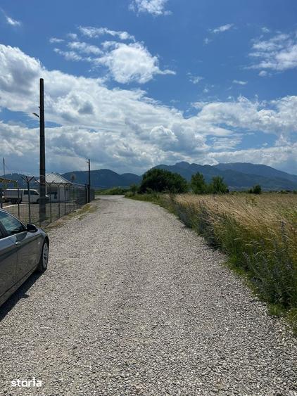 Teren de 600 mp, în Tărlungeni