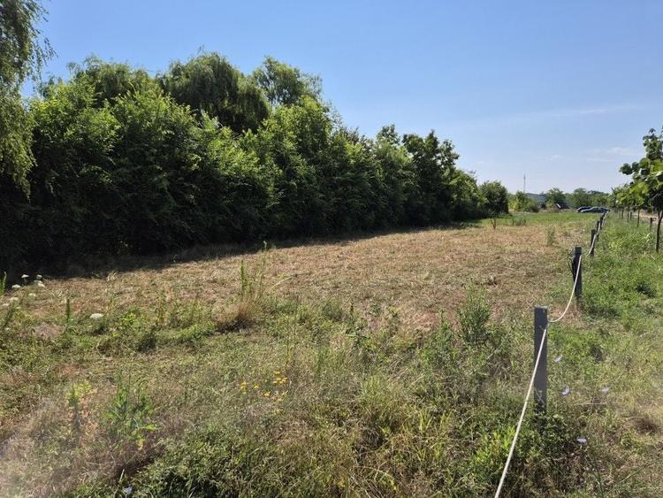 Teren Construcții intravilan de 500 mp, în Crevedia