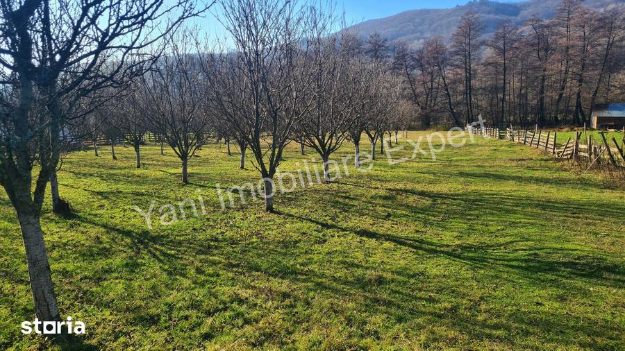 Teren de 4166 mp, în Corbi
