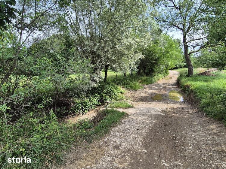 Teren de 3411 mp, în Șinca