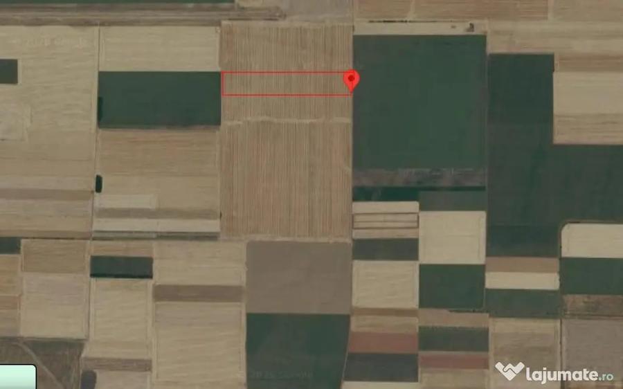 Teren de 50000 mp, în Dâlga