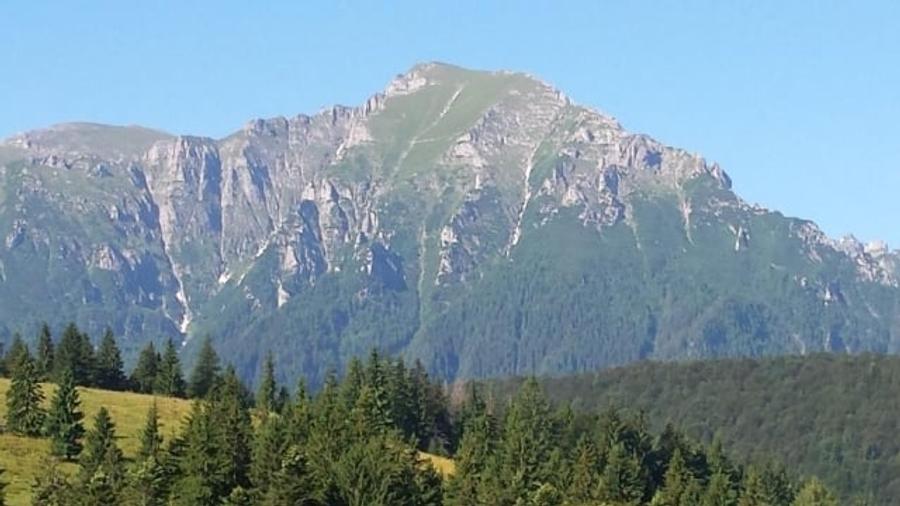 Teren Construcții intravilan de 12750 mp, în Pârâul Rece
