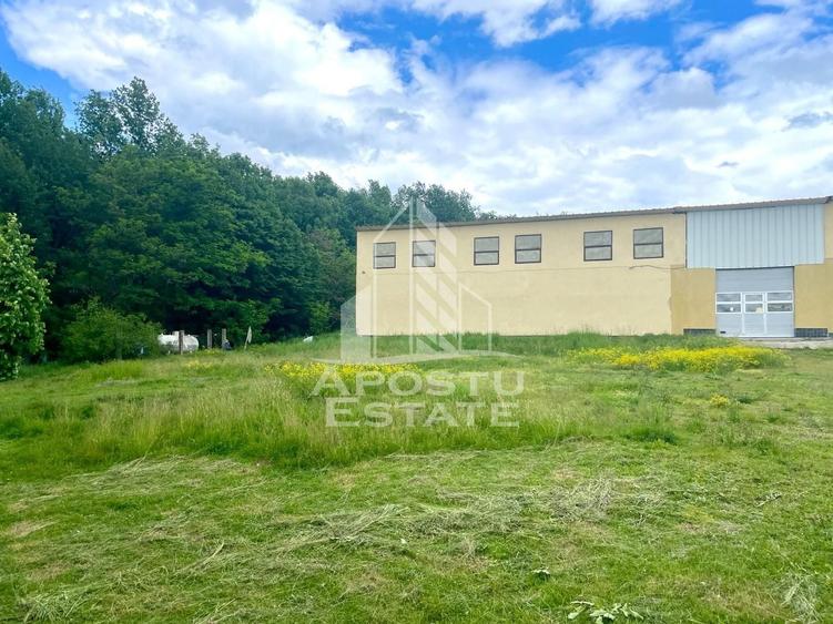 Spațiu industrial, de 1,680 mp, în Prunișor