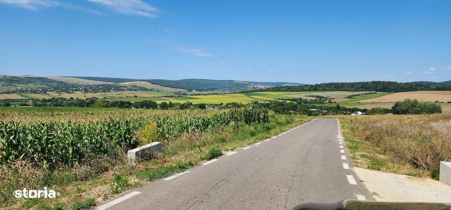 Teren de 21000 mp, în Scânteia