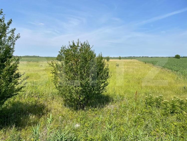 Teren agricol extravilan de 4994 mp, în Nisipurile