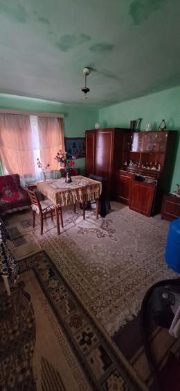 Casa de vanzare la tara - 3