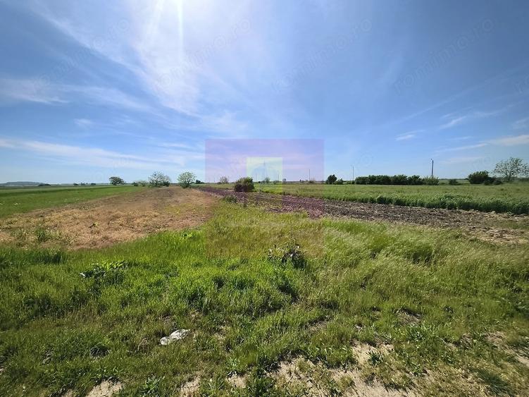 Teren de 4770 mp, în Dărăști-Ilfov