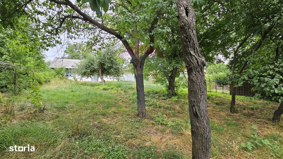 Casă cu 2 camere în Pădureni