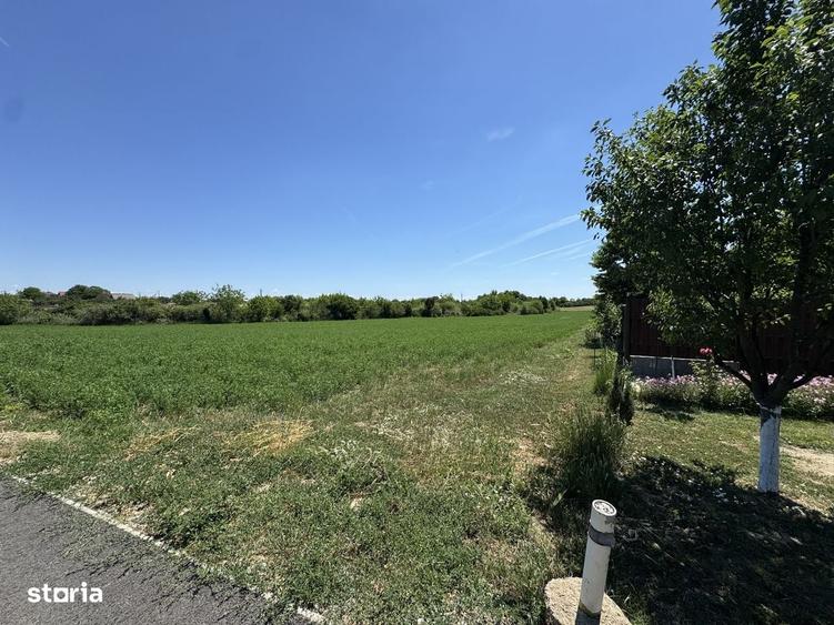 Teren de 8000 mp, în Bodrogu Nou