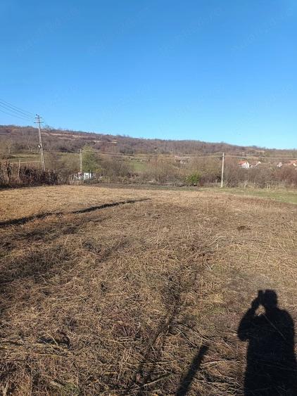 Teren în Armeni