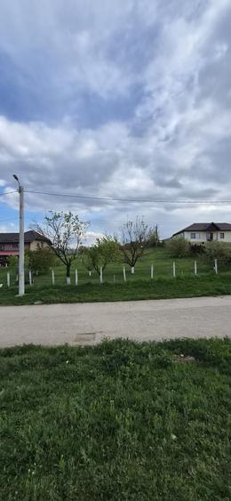Spațiu comercial, în Central