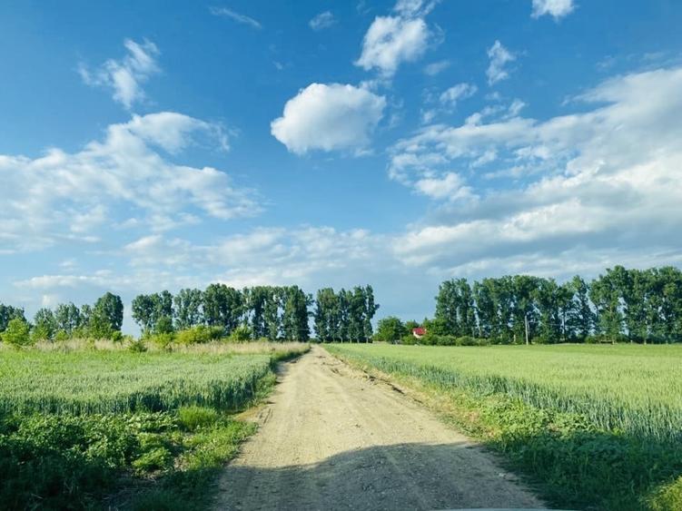 Teren Construcții intravilan de 983 mp, în Siliștea Snagovului