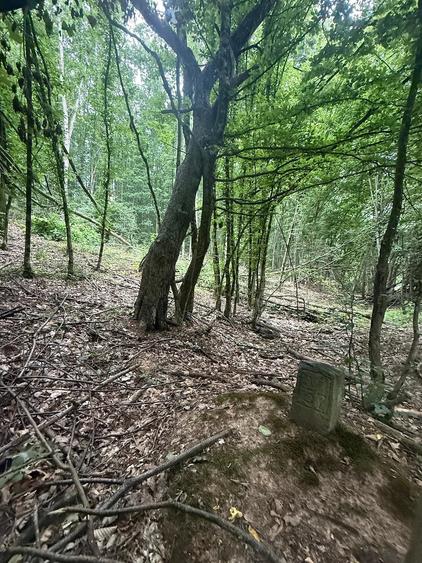 Teren de 174000 mp, în Buteni