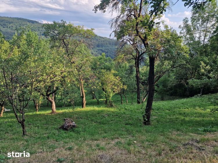 Teren de 2000 mp, în Poiana