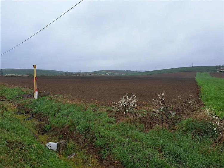 Teren intravilan de 7800 mp, în Ghenetea