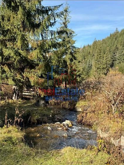 Teren de 22451 mp, în Dorna-Arini