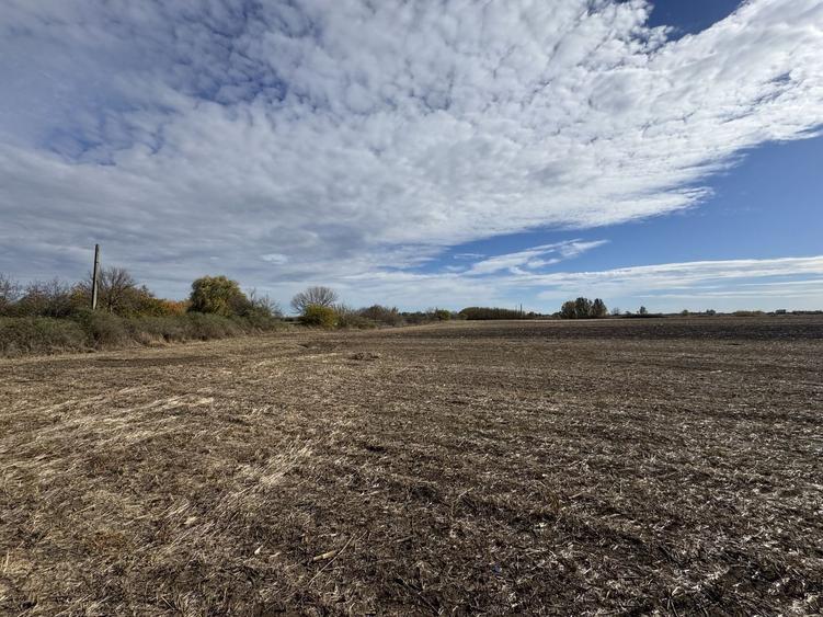 Teren agricol extravilan de 25000 mp, în Biled
