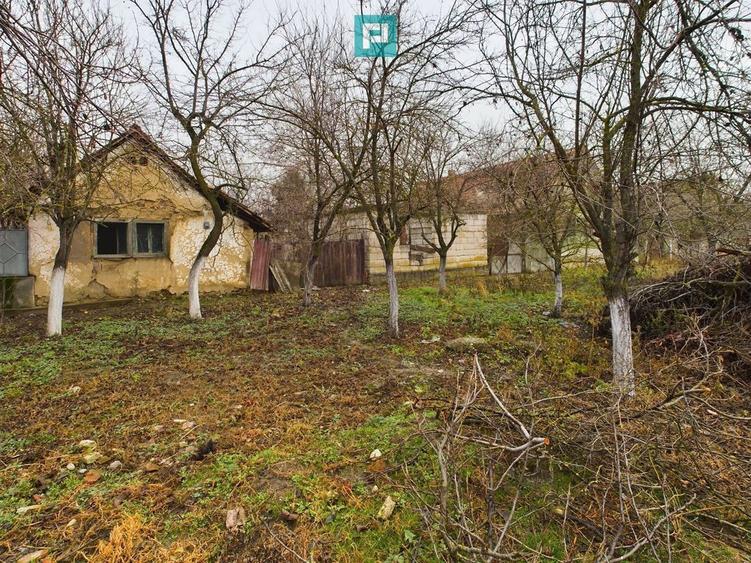 Teren cu casa demolabila in Sustra - 2