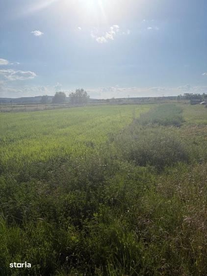 Teren de 2090 mp, în Central