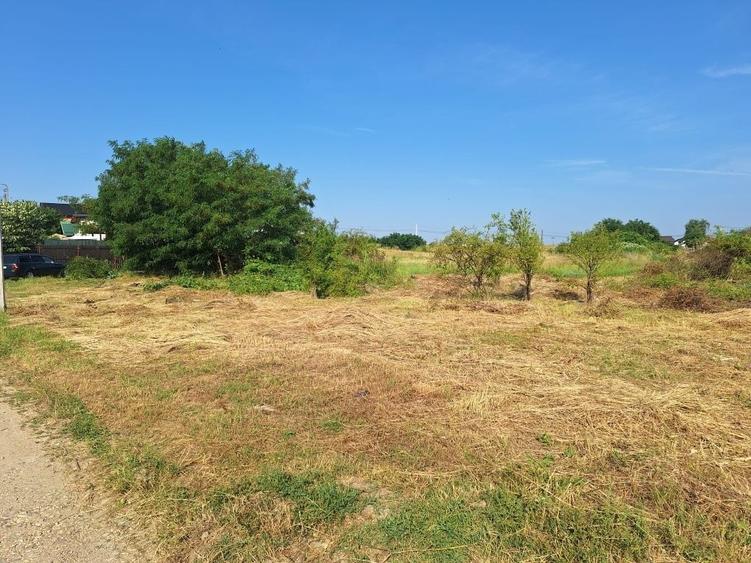 Teren de 1000 mp, în Geamăna