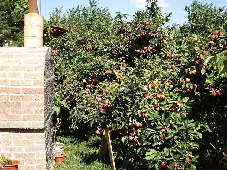 Casă individuală cu 4 camere cu Teren 400 Mp în Merei