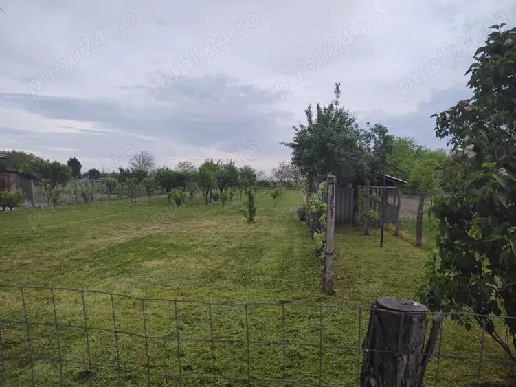 Teren de 1900 mp, în Rovinița Mare