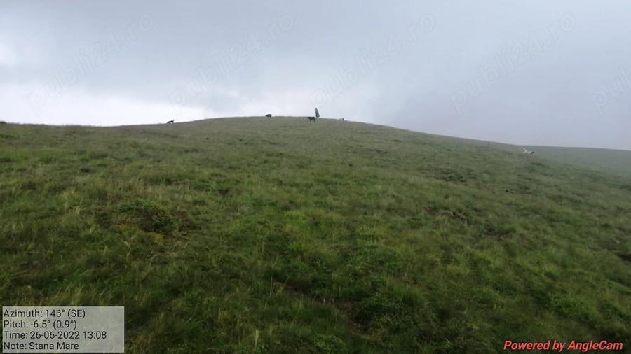 Teren de 960000 mp, în Padeș