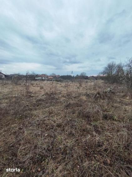 Vand sau schimb teren intravilan, 2700 mp, in Cornesti - 5