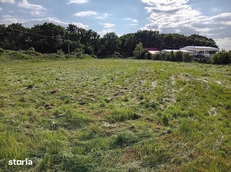 Teren de 3300 mp, în Centura