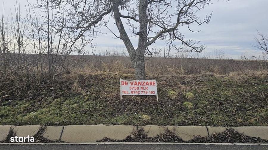 Teren de 3750 mp, în Central