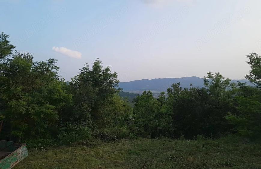 Casă cu Teren 9515 Mp în Dăești