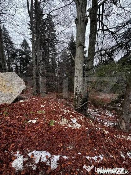 Teren de 4000 mp, în Calea Moroieni