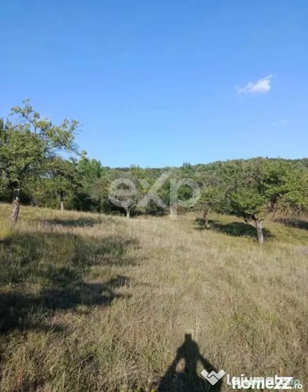 Teren de 4944 mp, în Tigveni