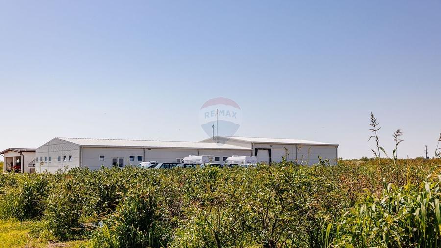 Teren agricol extravilan de 27720 mp, în Vest