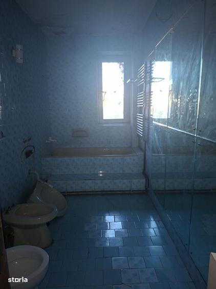 Casa Paltinis - 12