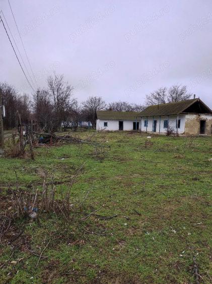 Teren de 8140 mp, în Băltenii de Jos