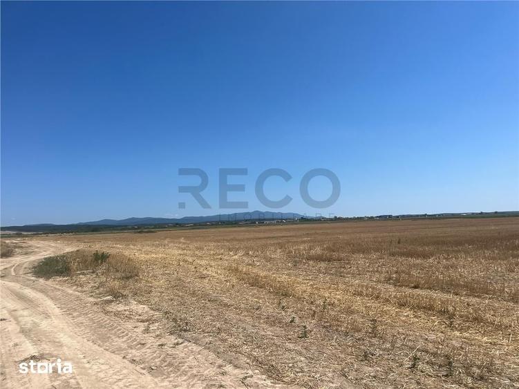 RECO Teren extravilan Ucuris- Olcea 44 000 mp - 6