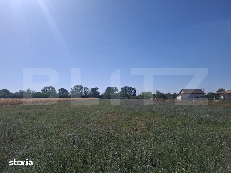 Teren de 3746 mp, în Ardud